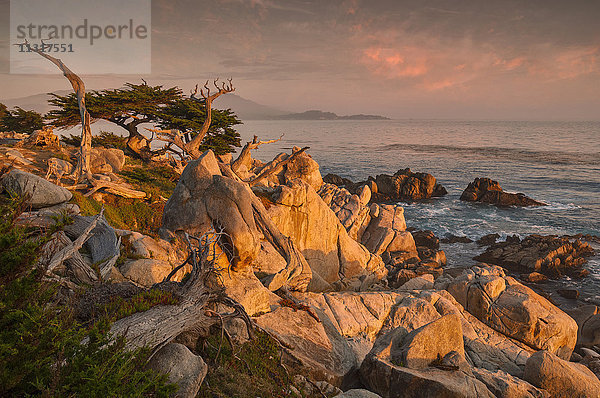 USA  Kalifornien  Küste  Monterey Peninsula  Carmel  Monterey  Küste  Landschaft