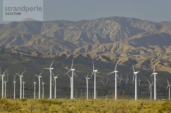 SA  Kalifornien  SOCAL  Palm Desert  Palm Springs  Windmühle  Energie  Mojave  Wüste