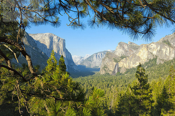 USA  Kalifornien  Sierra Nevada  Yosemite  Nationalpark  Talblick