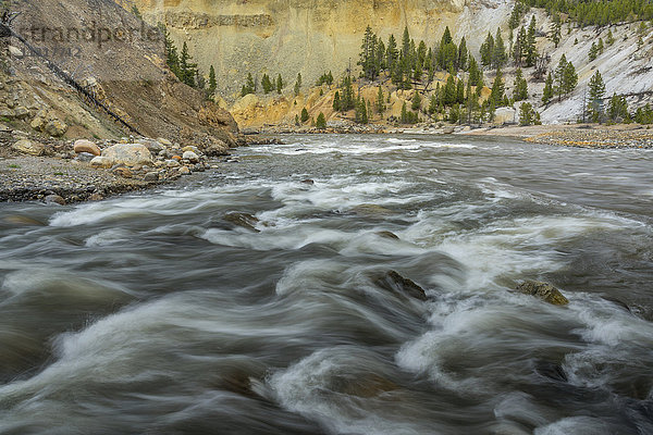 USA  Wyoming  Yellowstone  Nationalpark  UNESCO  Welterbe  Yellowstone River Canyon