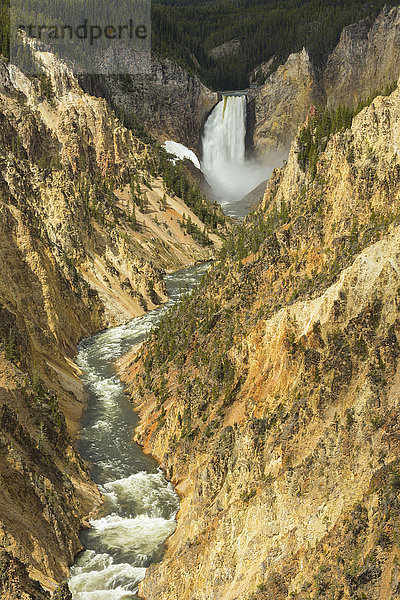 USA  Rocky Mountains  Wyoming  Yellowstone  Nationalpark  UNESCO  Welterbe  Lower Falls of the Yellowstone River