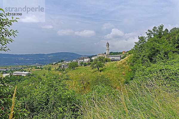 Stadt  Kirche  Vieh