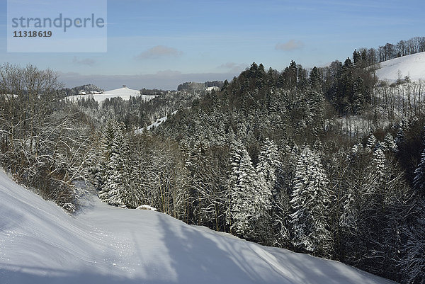 Sternenberg  Hügel  Wald  Schnee  Winter