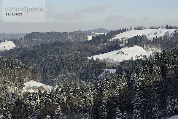 Rotbühl  Mülegg  Hügelseite