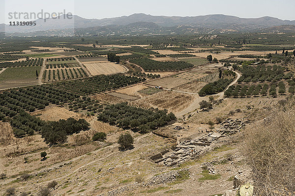 Griechenland  Kreta  Felder bei Plakias
