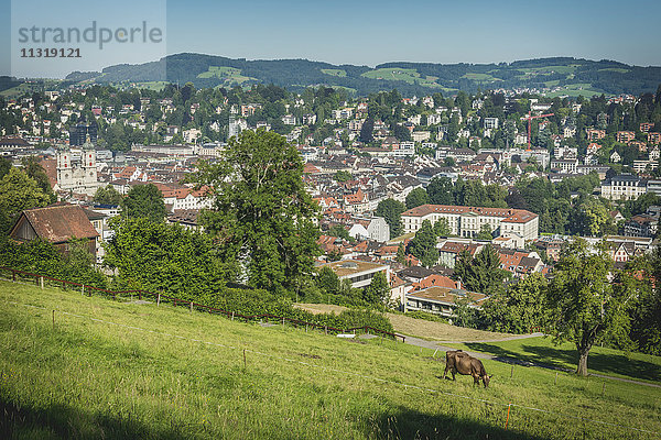 Schweiz  St. Gallen  Blick von Drei Weieren auf die Stadt