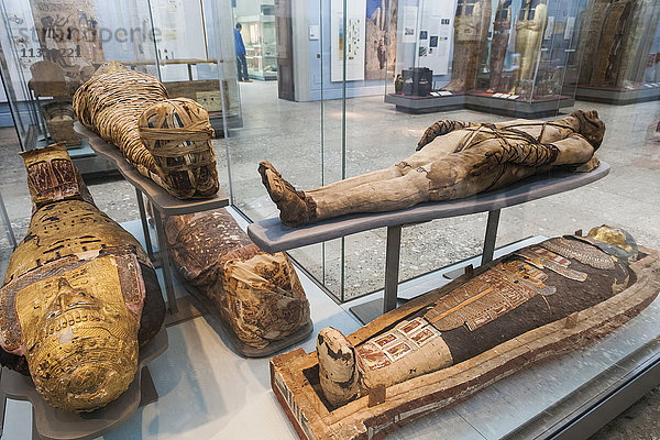 England  London  Britisches Museum  Ausstellung von ägyptischen Mumien