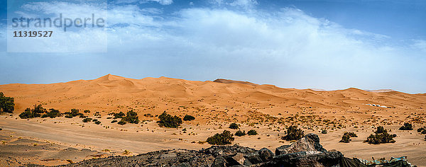 Marokko  Merzouga  Panoramablick auf die Wüste Erg Chebbi