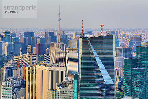 Japan  Tokio City  Minato District  Skytree Tower