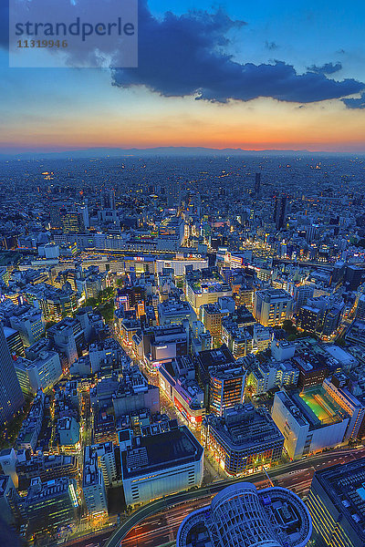 Japan  Tokio City  Shinjuku Avenue  Kabukicho area