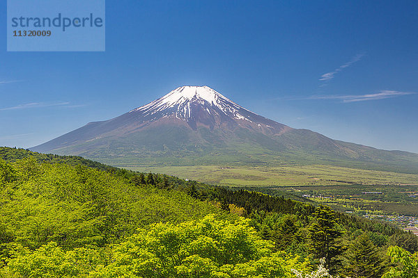 Japan  Provinz Yamanashi  In der Nähe von Oshino Mura