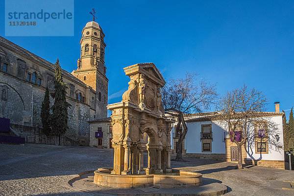 Spanien  Provinz Jaen  Stadt Baeza  Weltkulturerbe  Brunnen Santa Maria  Kathedrale von Baeza