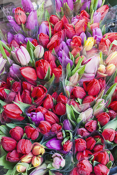 England  London  Southwark  Borough Market  Ausstellung von Tulpen