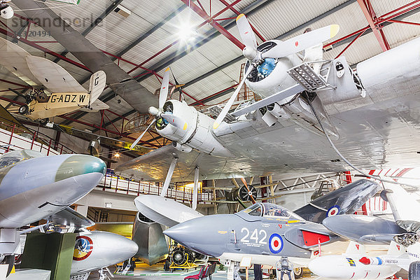 England  Hampshire  Southampton  The Solent Sky Museum  Ausstellung historischer Flugzeuge