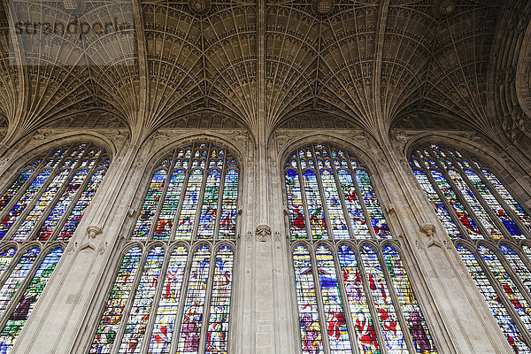 England  Cambridgeshire  Cambridge  King's College Chapel  Glasmalerei