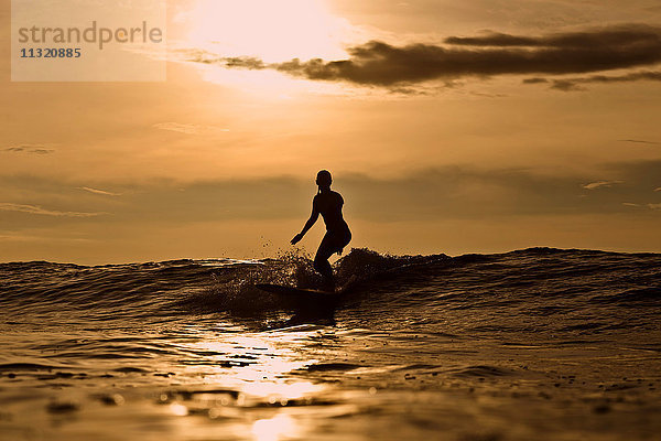 Indonesien  Bali  Silhouette der Frau beim Surfen bei Sonnenuntergang