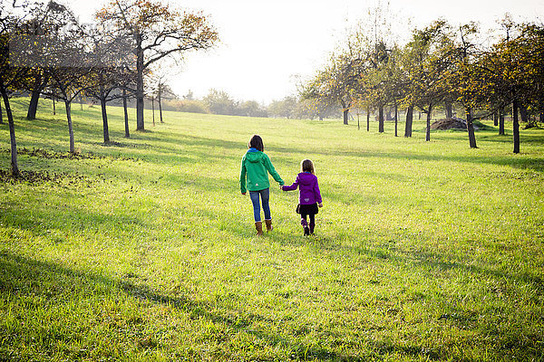 Rückansicht von zwei Schwestern  die im Herbst Hand in Hand auf einer Wiese gehen.