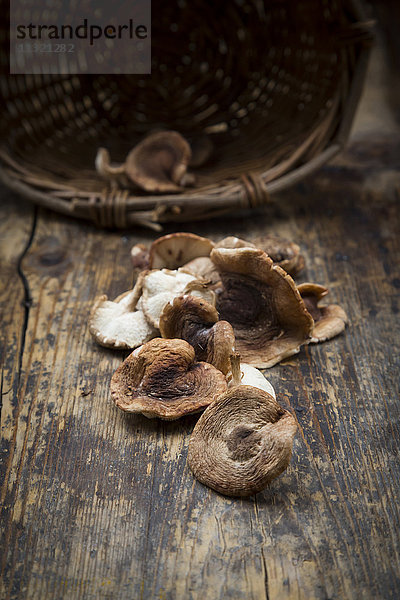 Shitake-Pilze auf dunklem Holz