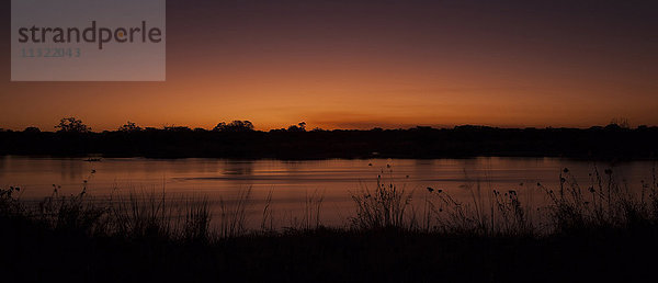 Namibia  Sonnenuntergang in Okavango
