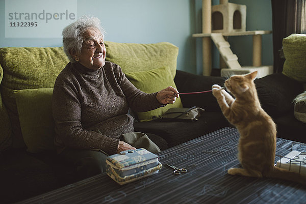 Seniorin spielt mit ihrem Kätzchen zu Hause