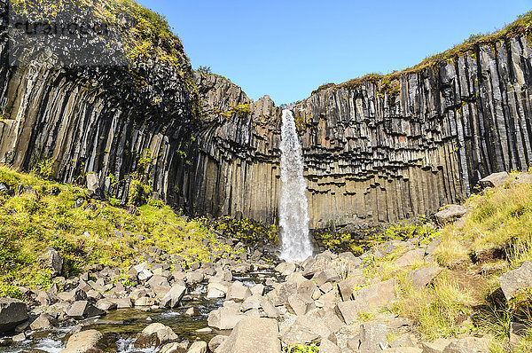Wasserfall Svartifoss im Süden Islands.