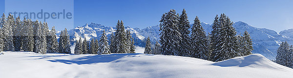 Freiberge  Kärpf  Glarner Alpen  Schweiz