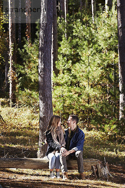 Ein Paar sitzt auf einem Baumstamm in einem Kiefernwald.