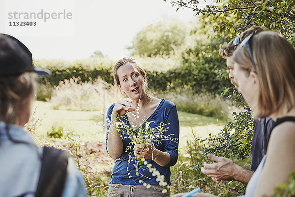 Eine Frau  die mit zwei Personen über sichere essbare Pflanzen spricht und frisch gepflückte Pflanzen hält.