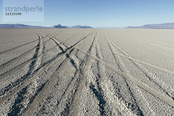 Reifenspuren auf Playa  Black Rock Wüste  Nevada