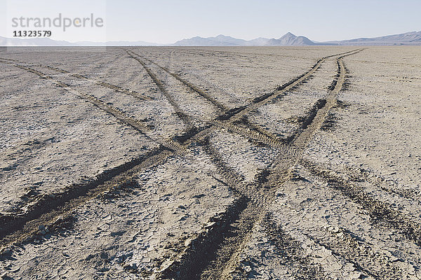 Reifenspuren auf Playa  Black Rock Wüste  Nevada