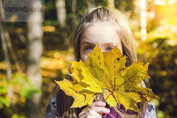 Kleines Mädchen versteckt ihr Gesicht hinter Herbstblättern