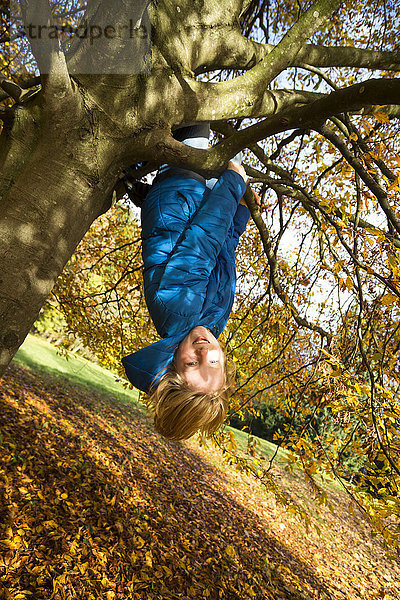 Junge klettert im Herbst auf den Baum