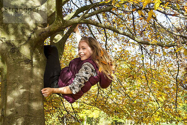 Mädchen beim Klettern am Baum im Herbst