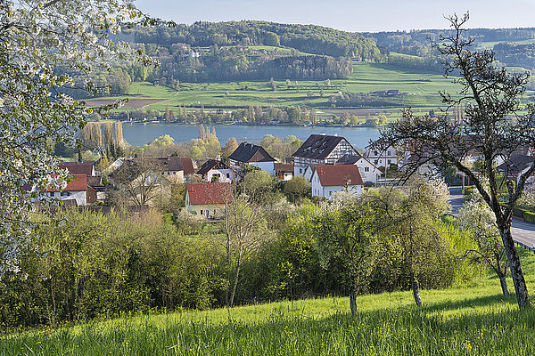 Deutschland  Oehningen  Blick auf das Dorf mit Untersee im Hintergrund