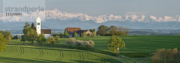 Deutschland  Überlingen  Blick auf die Michaelskirche mit den Alpen im Hintergrund