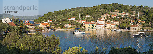 Kroatien  Insel Rava  Blick auf die Bucht von Mala Rava mit vertäuten Segelbooten