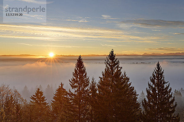 Deutschland  Icking  Isartal  Sonnenaufgang über Pupplinger Au