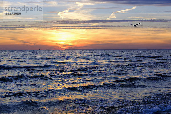 Deutschland  Usedom  Bansin  Sonnenaufgang über Meer
