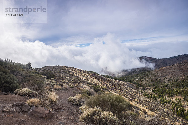 Spanien  Teneriffa  Landschaft im Teide-Nationalpark