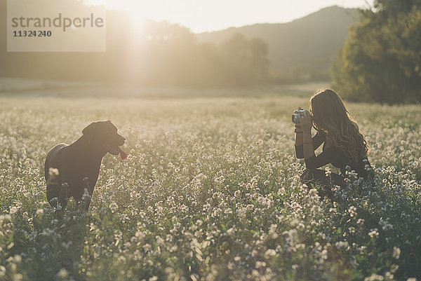 Junge Frau beim Fotografieren ihres Hundes im Blumenfeld in der Dämmerung