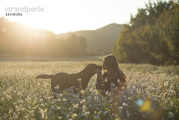 Junge Frau und ihr Hund im Blumenfeld in der Dämmerung