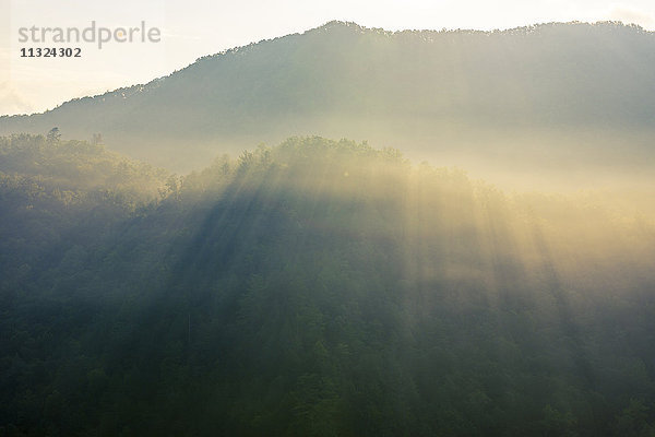 USA  North Carolina  Blue Ridge Mountains im Gegenlicht