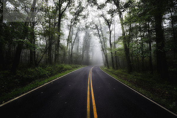 USA  Virginia  leerer Blue Ridge Parkway bei Nebel