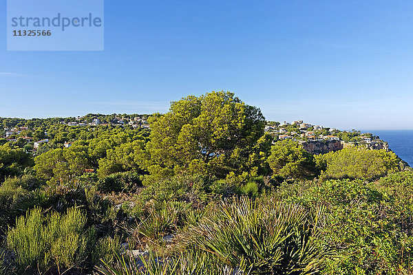 Xabia Kosten an der Costa Blanca