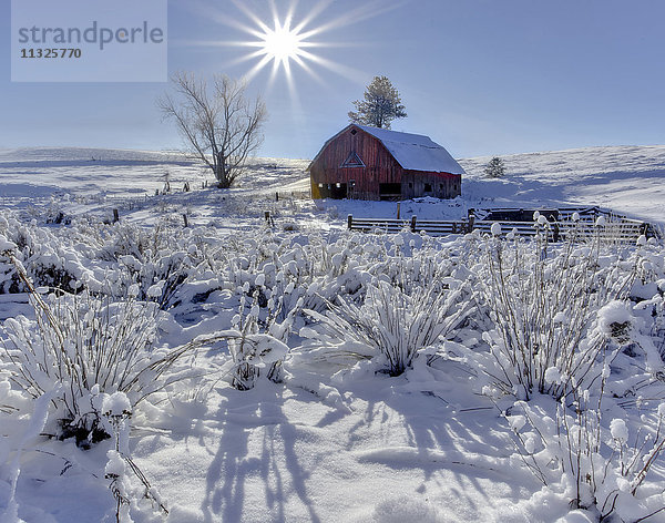 Landwirtschaft und Hügellandschaft im Bundesstaat Washington im Winter