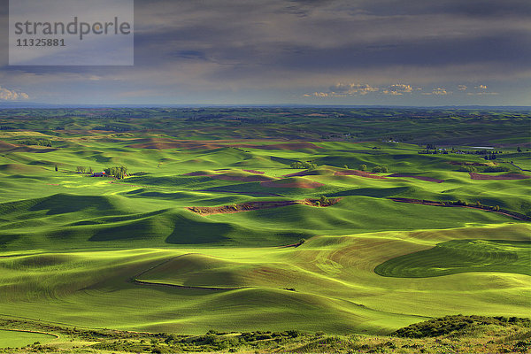 Sanfte Hügel in Palouse