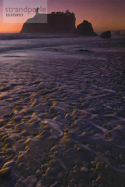 Heuschober im Olympic National Park  Bundesstaat Washington