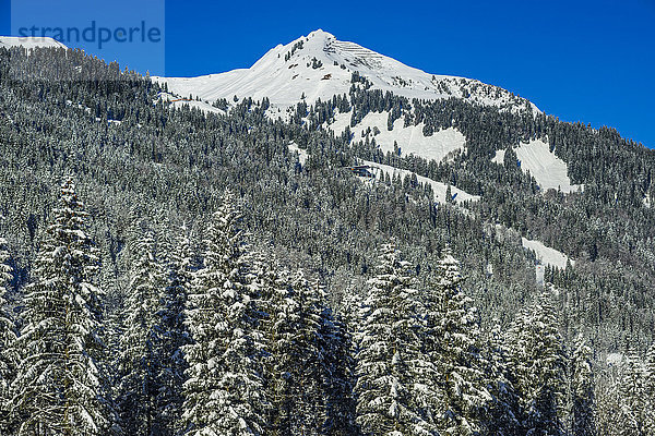 Winterlandschaft in den Allgäuer Alpen