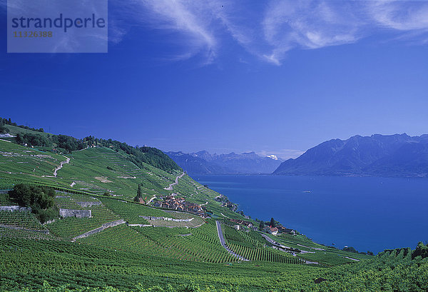 Weinregion Lavaux am Genfersee