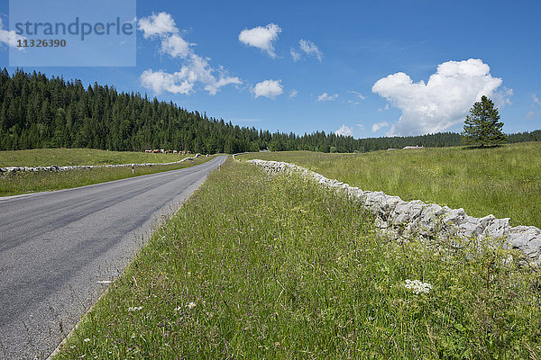 Col du Marchairuz und Waadtländer Strasse